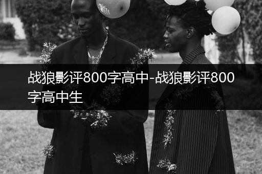 战狼影评800字高中-战狼影评800字高中生