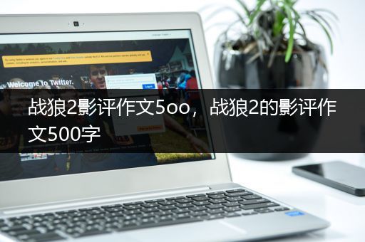 战狼2影评作文5oo，战狼2的影评作文500字